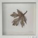 Acer leaf - white frame, medium Acer leaf - white frame, medium